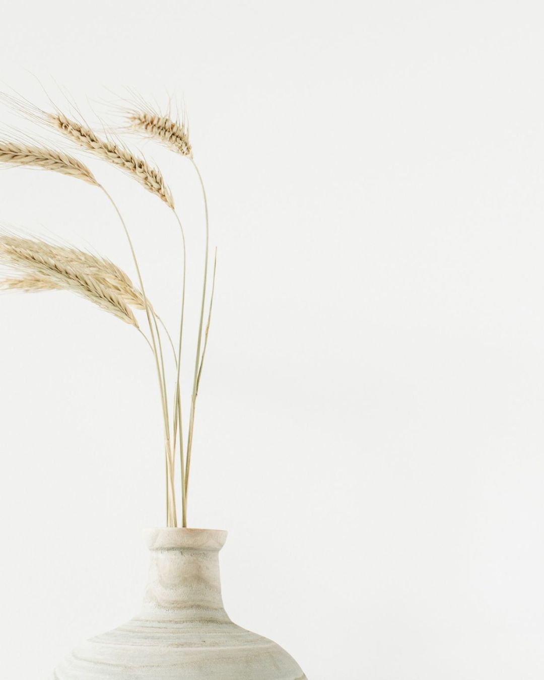 BIG Back to School Savings!